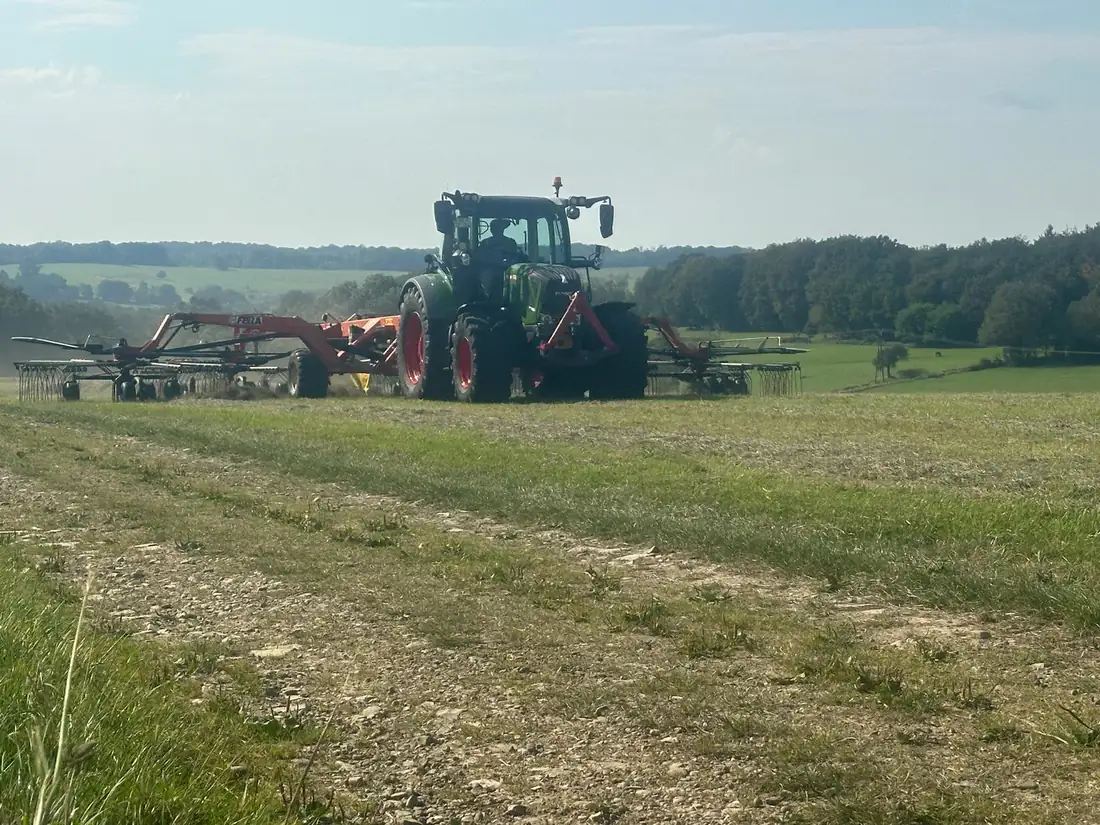 Schwaden bis 12,50 m