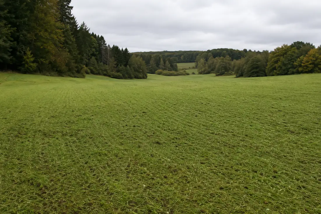 Striegeln bis 8 m